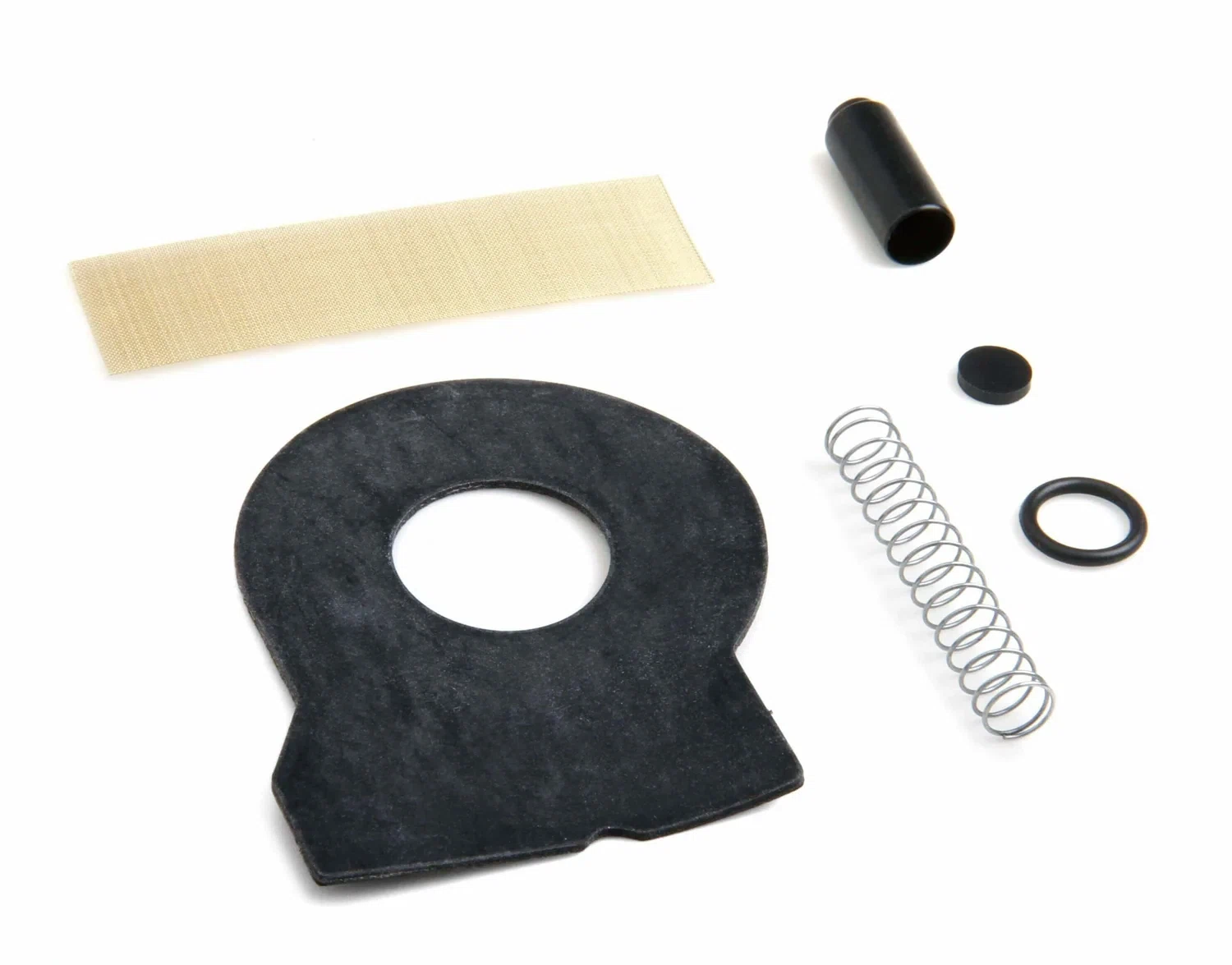 Fuel Pump Check Valve Kit - 12-816